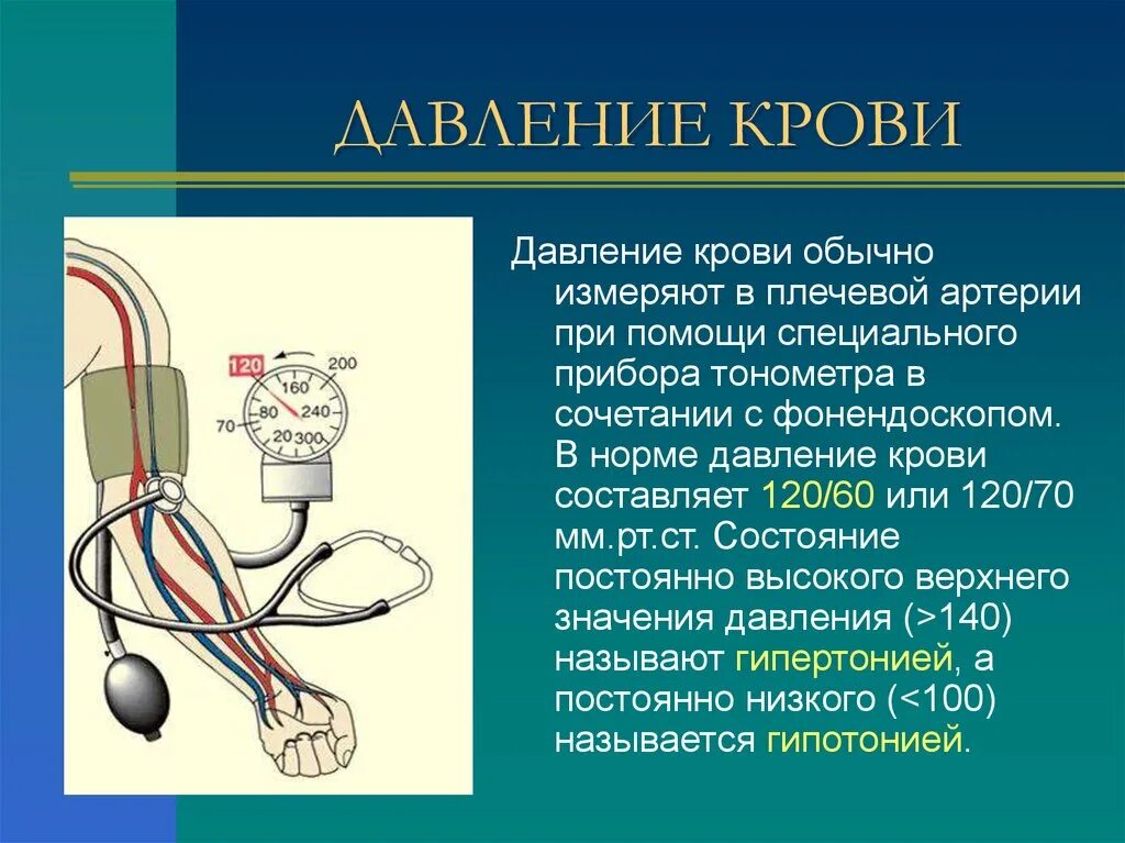 Какое артериальное давление на сердце. Давление крови. Артериальное давление крови. Методы измерения артериального давления крови. Давление крови и его измерение.