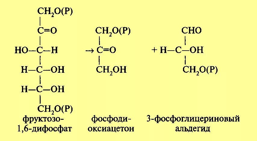 3-Фосфоглицеринового альдегида. Формула 3 фосфоглицеринового альдегида. Фруктозо 1 6 дифосфат 3 фосфоглицериновый альдегид. Фруктозо 1 6 дифосфат формула.