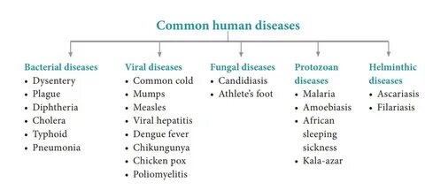 Common virus