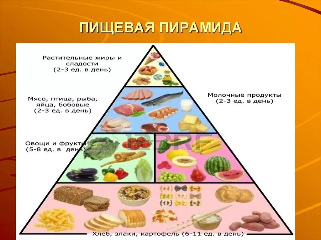 Пирамида питательных веществ. Пищевая пирамида. Пирамида здорового питания. Составить пирамиду правильного питания.