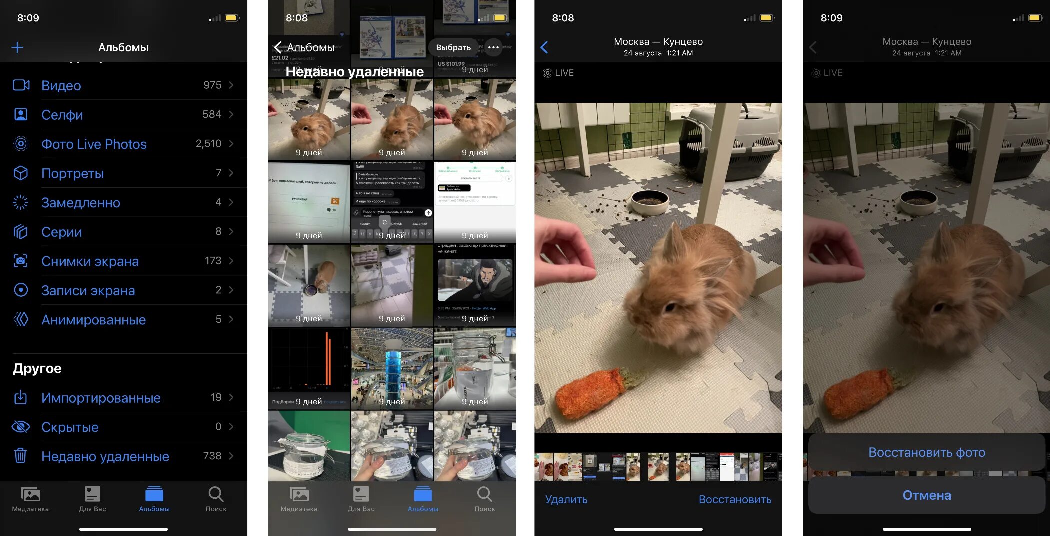Восстановить недавно удаленные фотографии. Недавние удаленные фото. Восстановление фото из галереи. Удаленные фото в галерее. Типа удаленное фото.