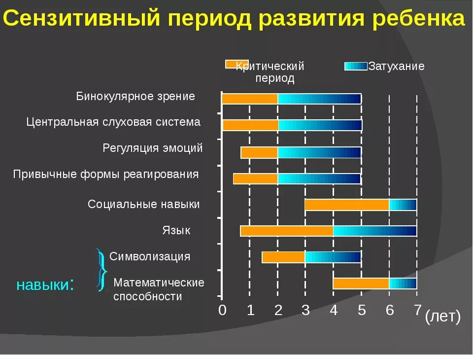 Сенситивные периоды человека. Сензитивные периоды развития ребенка. сенситивные периоды развития ребенка. график сенситивных периодов развития. сензитивный период развития ребенка таблица.