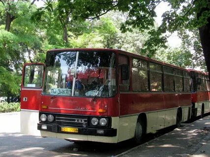Год выпуска автобус