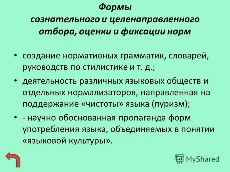 Язык общество норма