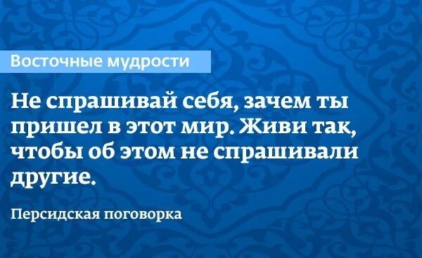 Восточные мудрости и пословицы. Не умеешь спрашивать. Анекдоты на английском языке. Уборка смешно. Кот крестный отец прикол.