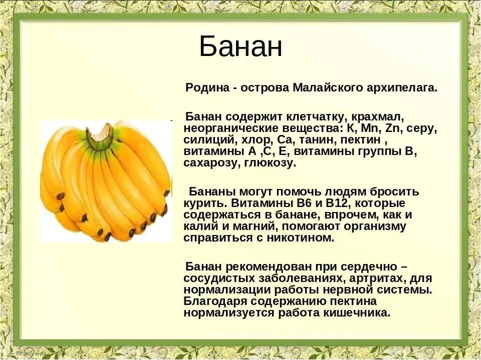 Банан выражения. Банан доклад. краткое описание банана. сообщение о банане. фрукты для презентации.
