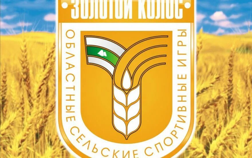Золотой колос таганрог. Золотой колос конкурс. Золотой колос конкурс. Флаг с золотыми колосьями. Золотой колос оренбуржья 2016 фото.