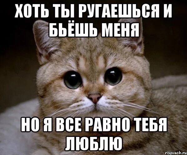 так хочу тебя обнять. я тебя люблю картинки. мемы радость. скажи а ты меня сегодня любишьстиз. я тебя люблю.