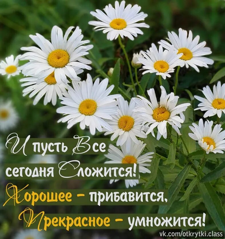Доброе утро пусть все сложится. Счастье. пусть всё сложится хорошо. пусть сегодня все сложится а хорошее прибавится. пусть всё складывается и умножается.