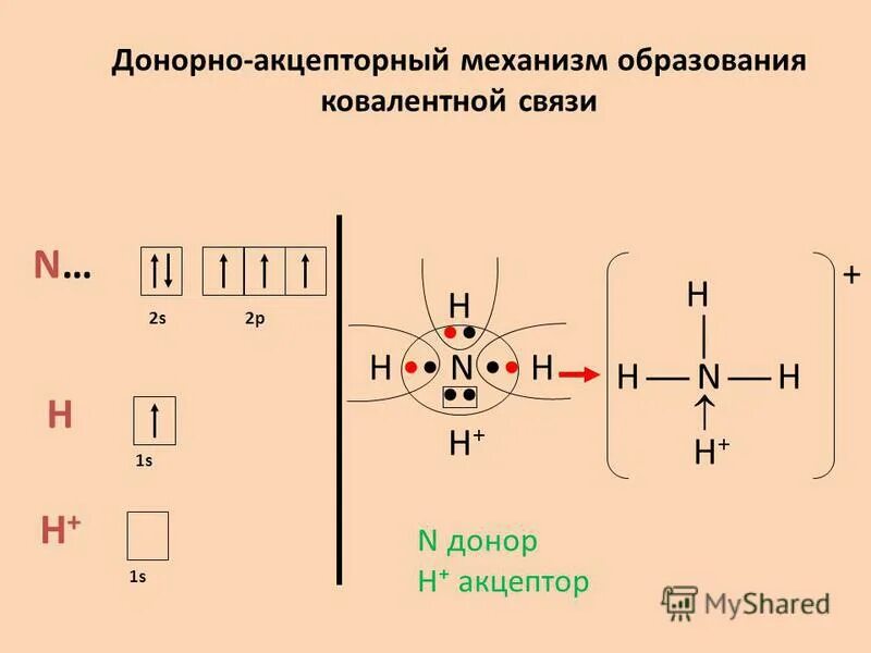 Приведите схему образования молекулы. Схема образования донорно-акцепторной связи. Механизм образования донорно-акцепторной связи. 4. Донорно-акцепторный механизм образования ковалентной связи. Донорно акцепторный механизм в химии.