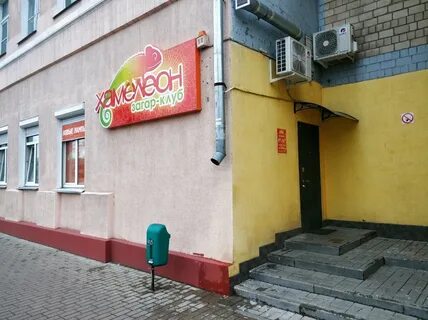 Хамелеон гомель