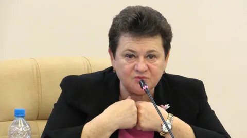 Зебра тв 33