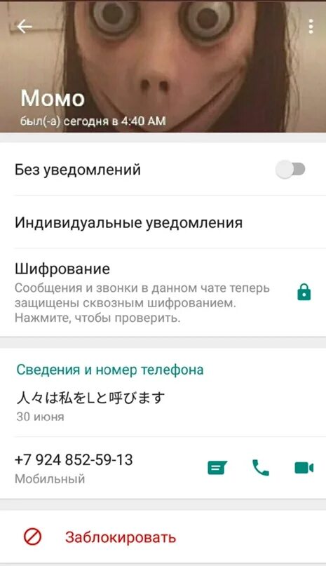 Momo номер WHATSAPP В России. Номер МОМО. МОМО номер телефона. Номера МОМО настоящие. Номер мом россия