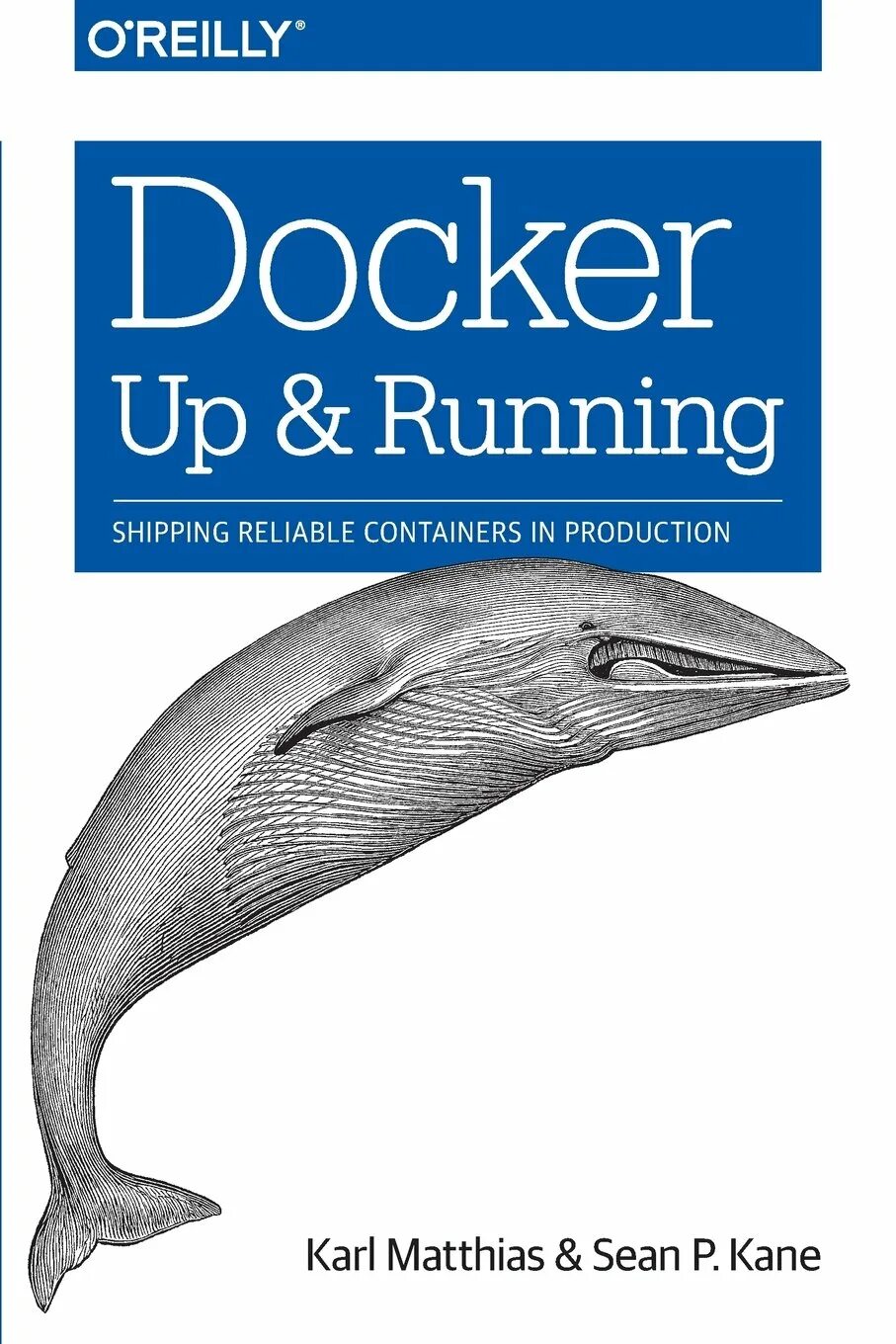 Docker up running. Docker перевернутый кит. Docker asp net. Docker build. Docker up running.
