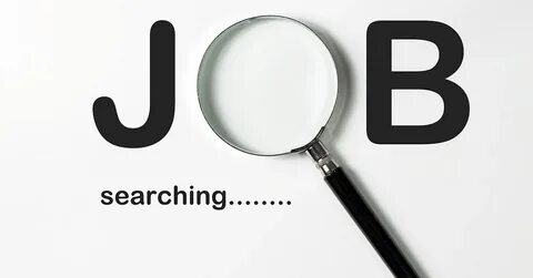 Yes search