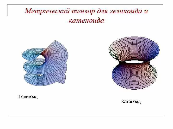 Support tensor