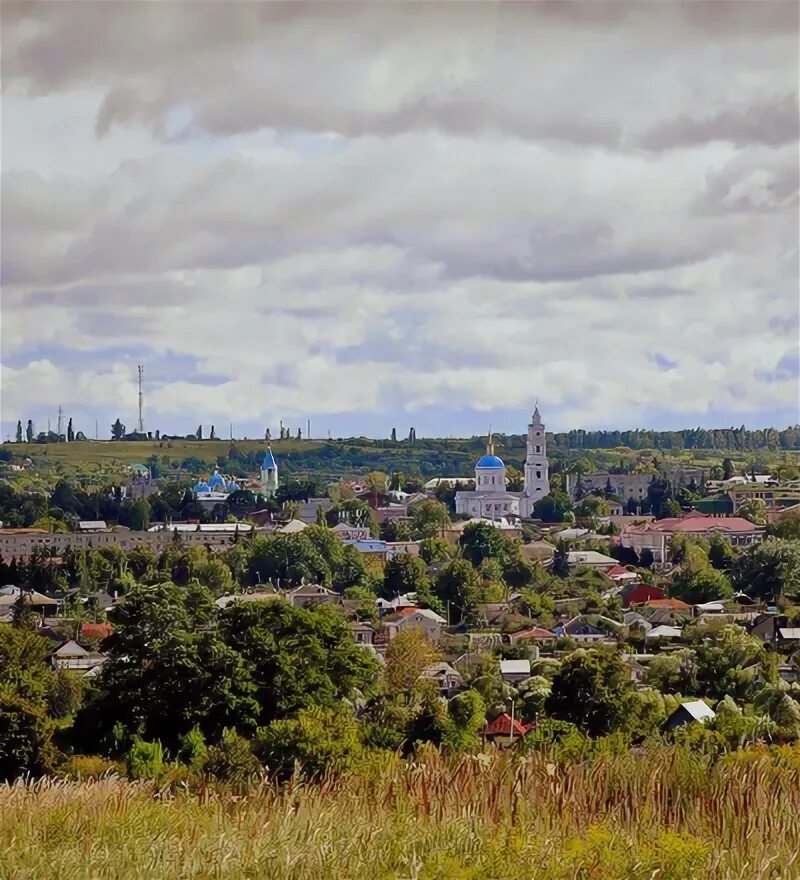 Рыльск брянск. Рыльск Курская область. Село Боровское Рыльский район. Боровское Рыльский район Курской области. Рыльск Крупец.