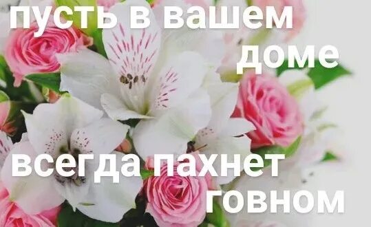 Пусть в доме всегда. Пусть в вашем доме пахнет говном. Пусть в вашем доме пахнет. Пусть в вашем доме всегда. Пусть в вашем доме пахнет Мем.