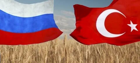 Турция союзы