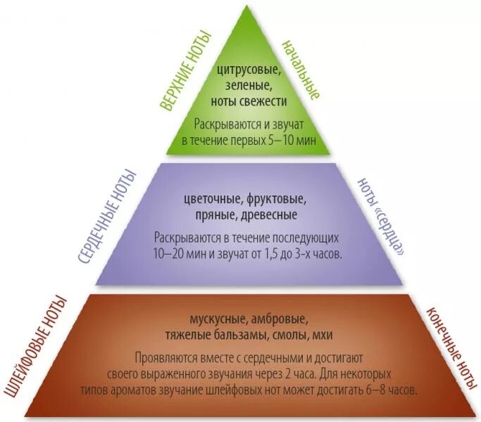 Ноты в духах ароматах