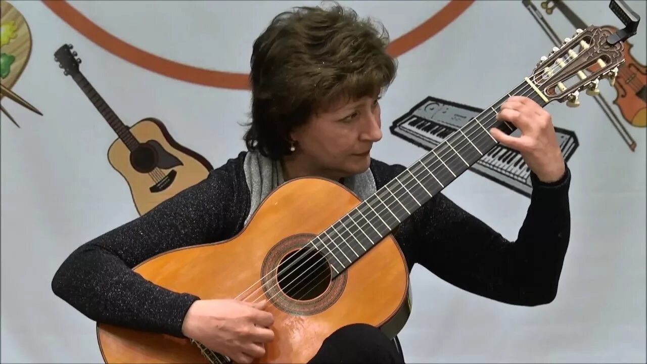Выступление бардина. Выступление бардина