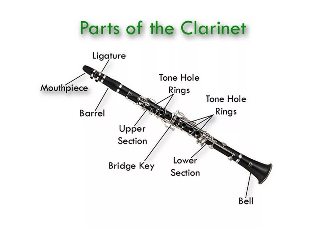 Каким инструментам относится кларнет. Строение кларнета схема. Кларнет строение инструмента. Кларнет составные части инструмента. Конструкция кларнета.