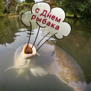 С днем рыбака брата