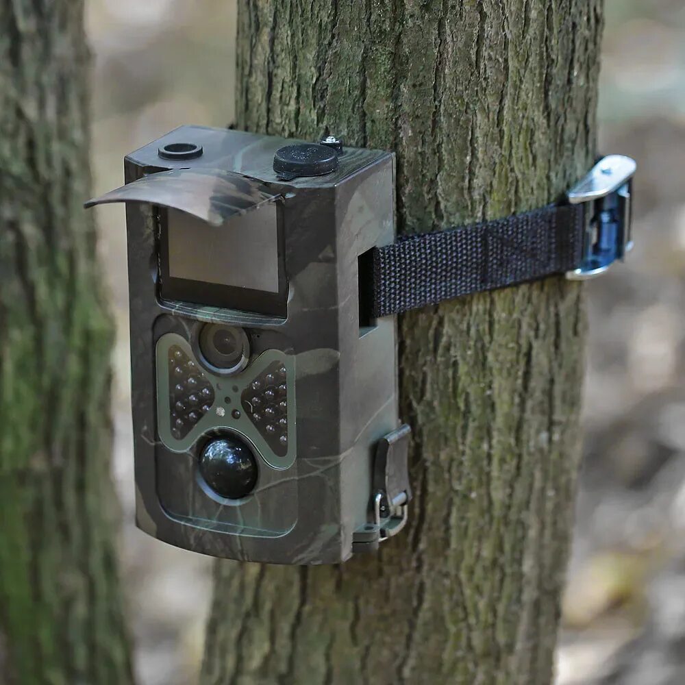 Алиэкспресс купить для охоты. Фотоловушка HC 550. Фотоловушка Trail Camera. Фотоловушка Hunting Trail. Фотоловушка (Лесная камера) Hawke Prostalk cam Mini (5 MP).