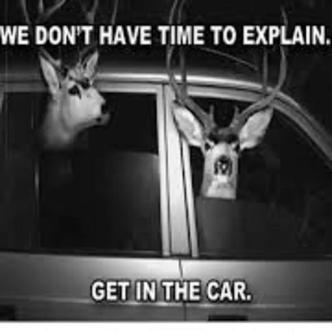 It s hard to explain. No time to explain get in the car. Get in the car Мем. No time to explain. Олени Мем no time to explain.