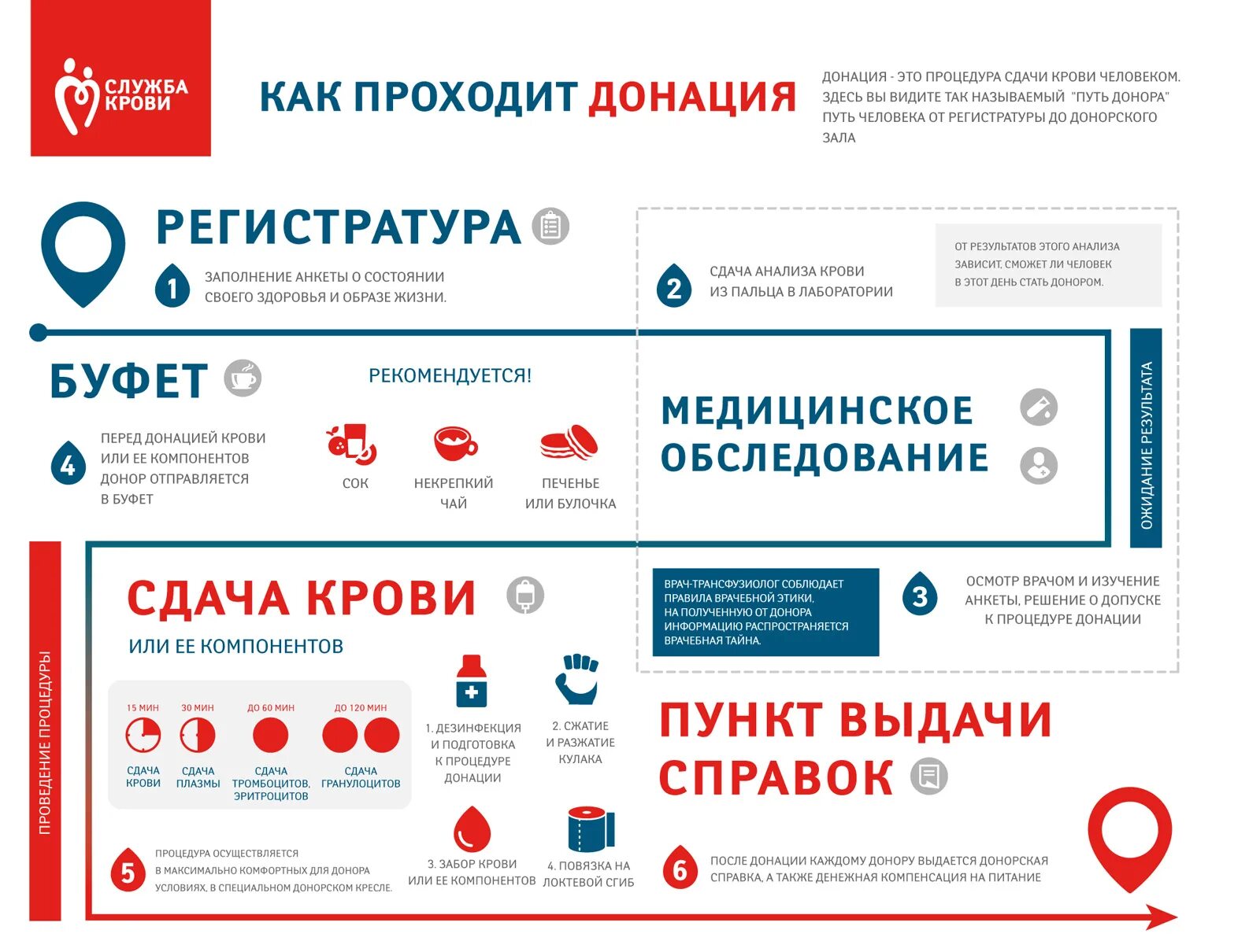 Что такое донация. Информация для доноров. Организация донорства крови. Процедура сдачи крови на донорство. Схема донации крови.