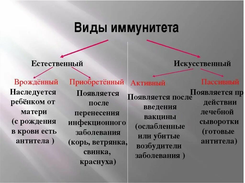 Классификация искусственного иммунитета. Виды иммунитета врожденный и приобретенный. Иммунитет виды иммунитета.