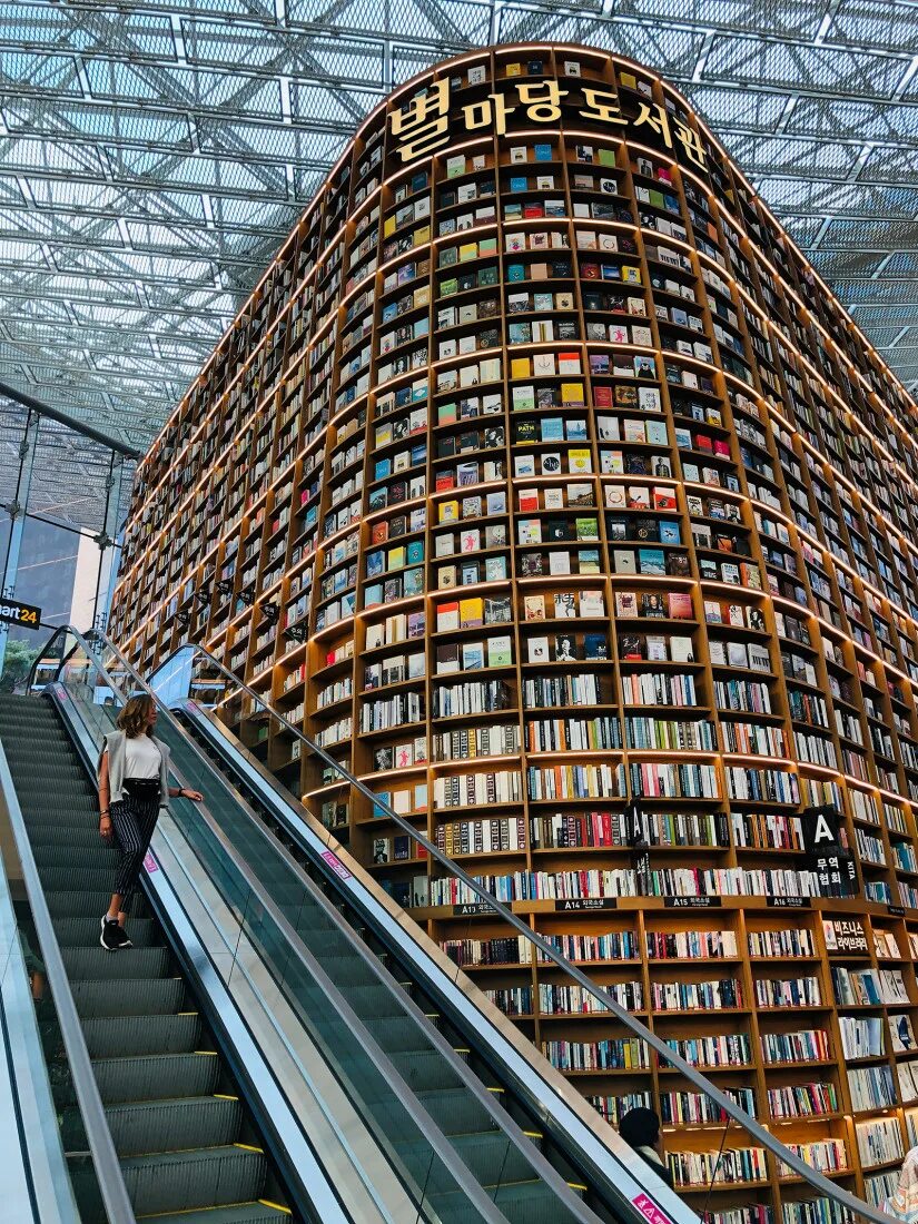 Самые популярные библиотеки. Сеульская библиотека большая. Музей-библиотека в Иваки Япония. Национальная библиотека в Сеуле. Большая библиотека в Москве.