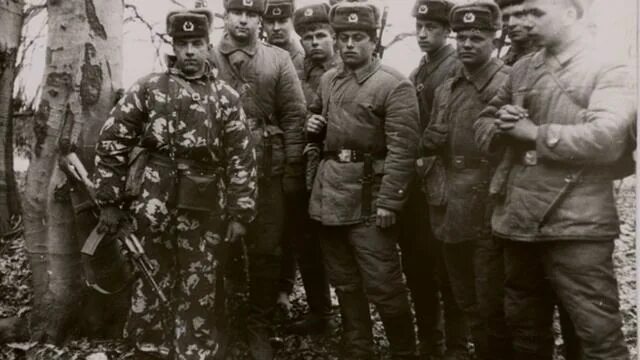 Мимонь чехия. Передовая группа войск 8. Передовая группа войск 8. Польша сгв борне сулиново. Сгв польша легница.
