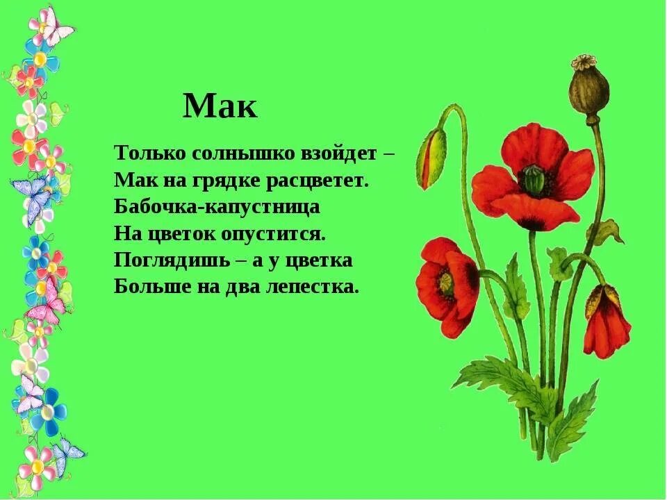 Про цветы для детей 5 лет. Стихи про цветы для детей. Детские стихи про цветы. Стихи о цветах для детей. Стихи про цветов для детей.