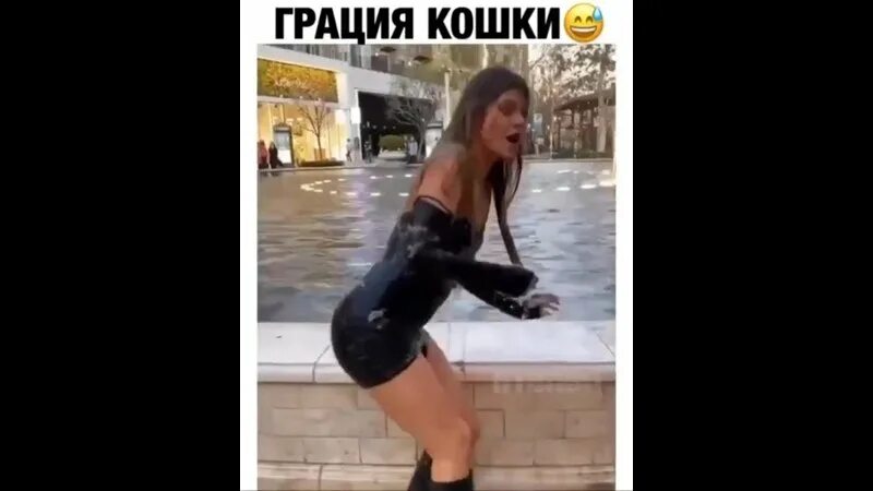 Что значит грация кошки. Грациозность кошки ловкость картошки. фраза грация кошки ловкость картошки. грация кошки картошки. грация кошки ловкость.