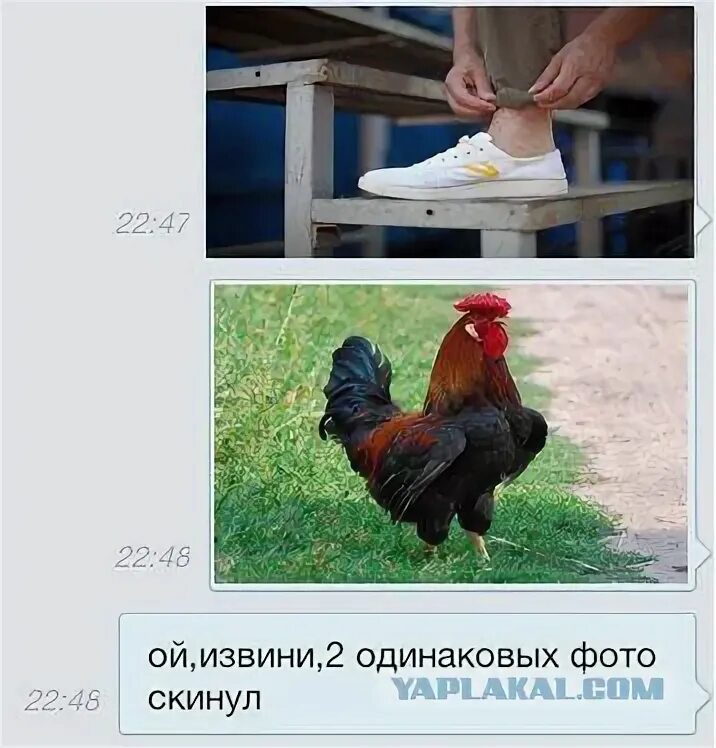Ой извини не то