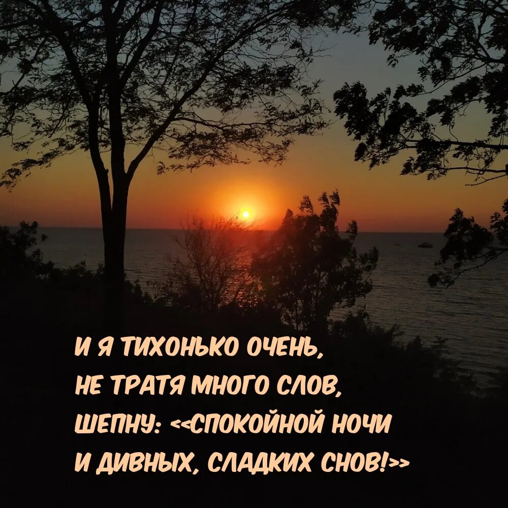 Пожелания спокойной ночи. Пожелания доброй ночи. Самые красивые пожелания спокойной ночи. Природа спокойной ночи с пожеланиями. Спи я твои тихие