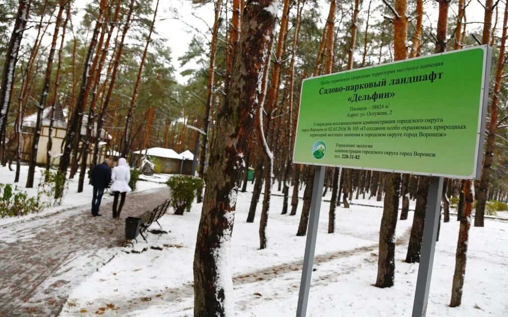 Парк Дельфин Воронеж. Парк Дельфин веревочный городок. Парк Дельфин в Воронеже веревочный парк. Смарт парк Дельфин Воронеж. Дельфин беседки воронеж