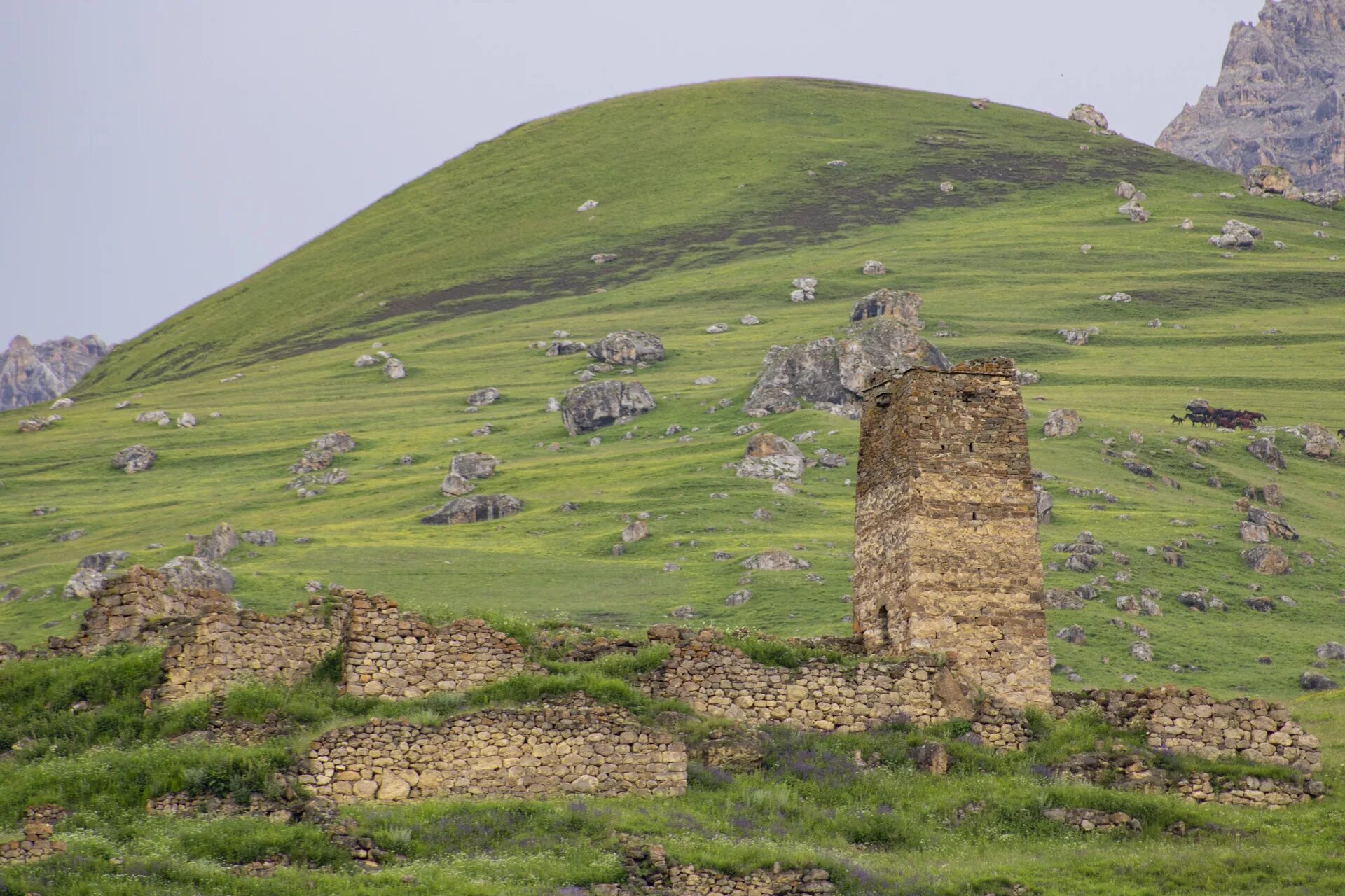 Урух село Кабардино-Балкария. Старый Урух Кабардино-Балкария. Урух сота. Дигорский район. Погода в николаевском дигорский район