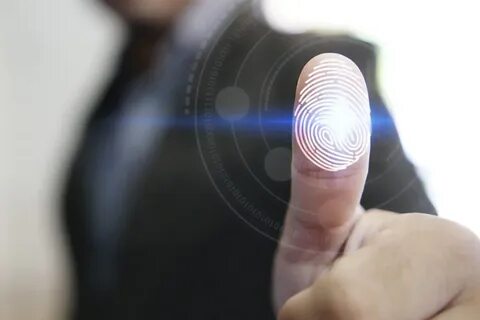 Fingerprint system