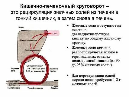 Соли печени