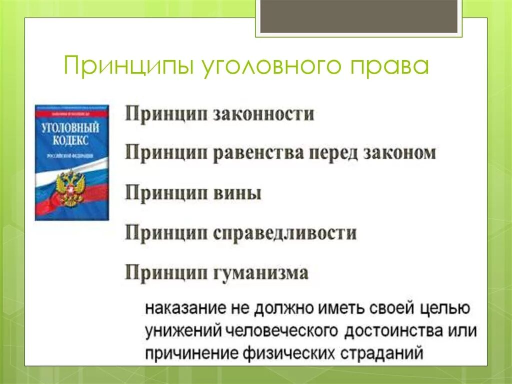 Общие условия уголовной ответственности являются. Принципы уголовного кодекса схема.