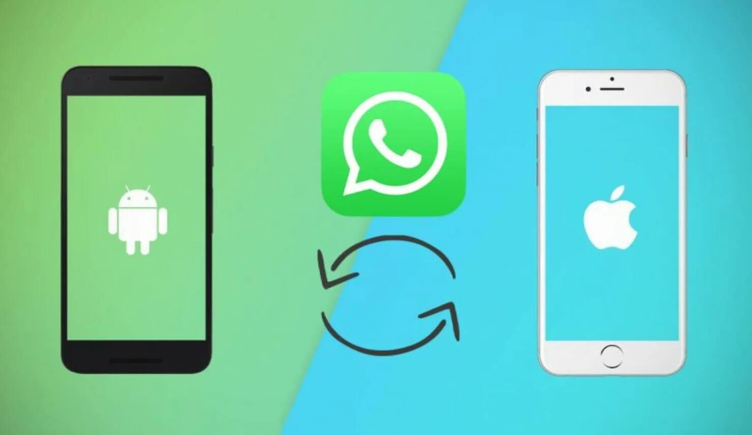 Андроид и айфон. Iphone Android. Айфон и андроид фото. Перенести WHATSAPP С Android на iphone. Как всю информацию с андроида на айфон