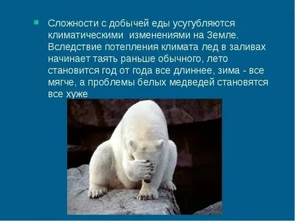 Большая белая проблема