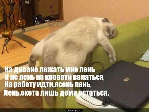 Не хочу ходить на работу что делать. Открытки неохота на работу. картинки про безделье прикольные на работе. картинки про лень на работе. открытки неохота на работу прикольные.