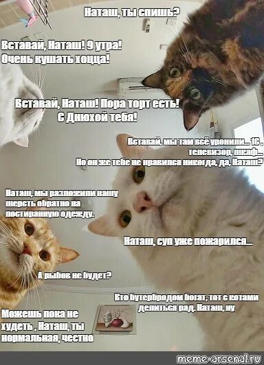 Вставай кушать. Воскресенье приколы. Пора спать план. Вставай кушать. 5 утра запевай расцветали мясо.