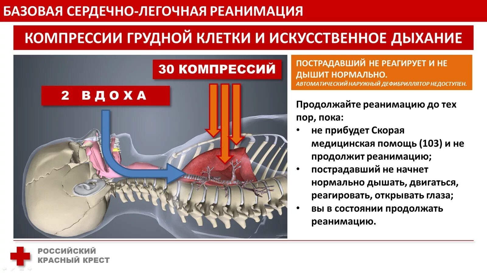 Соотношение вдох компрессия