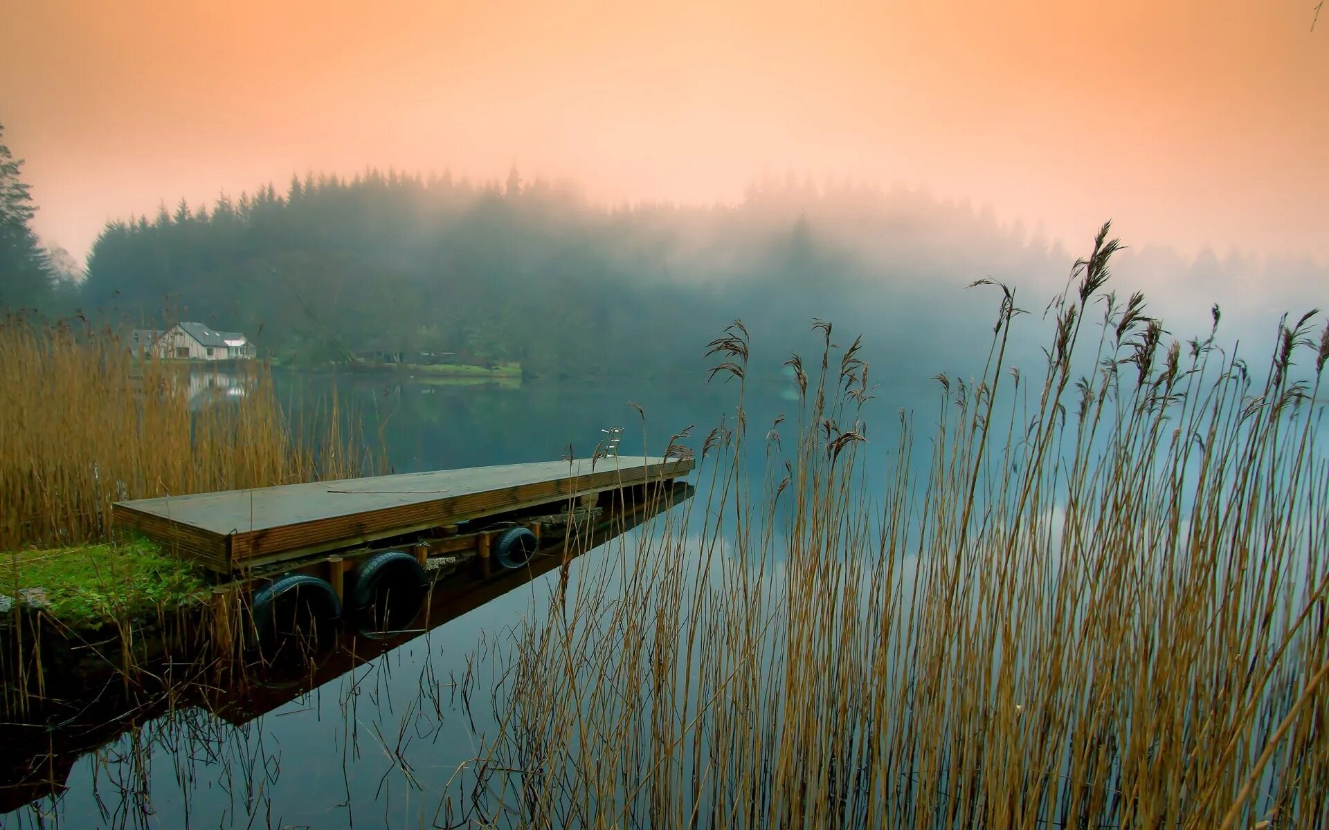Качество тишины. Кенозерский национальный парк рассвет туман. Пейзаж. Тихая природа. Умиротворяющий пейзаж.