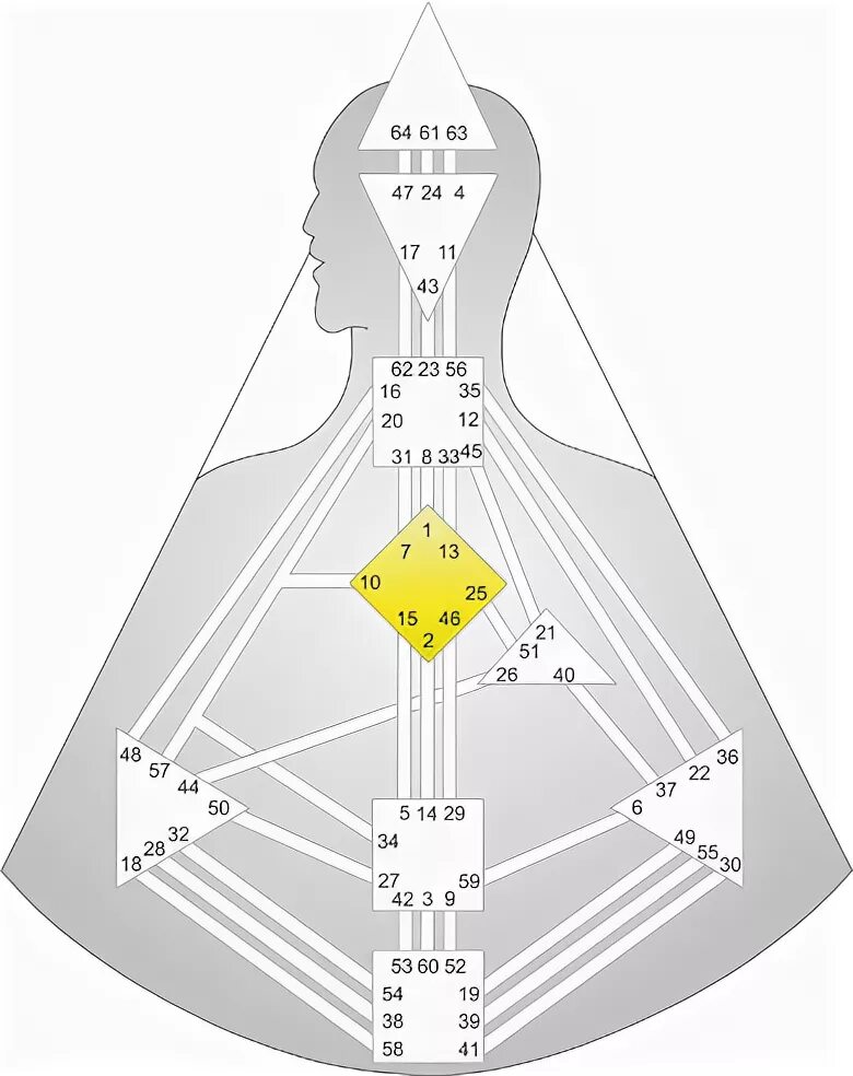 Human Design бодиграф. Теменной центры бодиграф. Бодиграф проектора. Ворота Джи центр бодиграф. Авторитеты в дизайне человека
