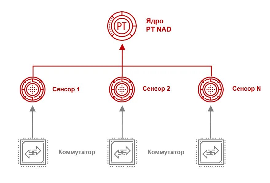 Pt nad. Pt Network Attack Discovery. Pt Network Attack Discovery Интерфейс. Архитектура pt nad. Pt Discovery Network Attack Discovery.